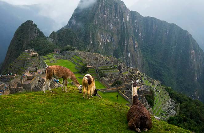 Tours nacionales