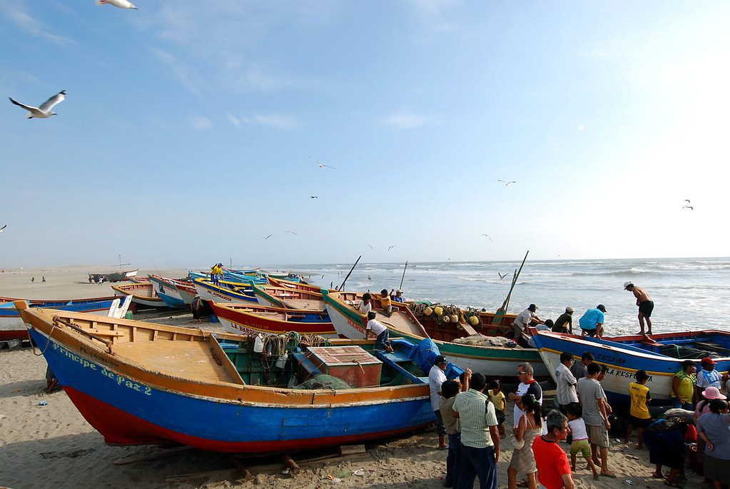 Caleta San José