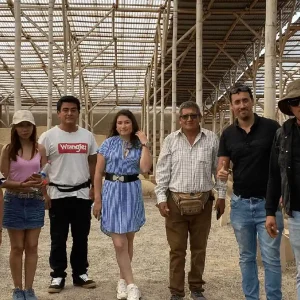 Tour Chimú Económico
