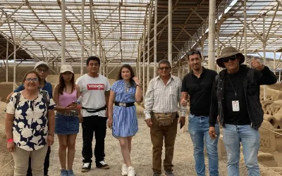Tour Chimú Económico