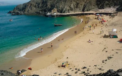 Full day Caleta Colorada