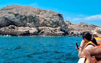 Full day Islas Guañape