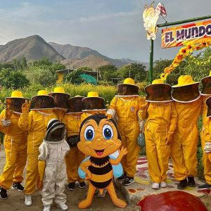 Tour de Simbal + Las abejas