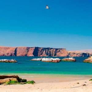 Ica + Paracas - 3 Días