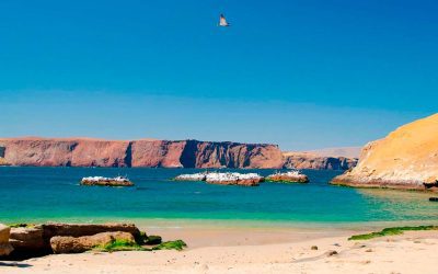 Ica + Paracas - 3 Días
